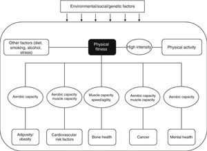 Graphical representation of the information reviewed by Ortega et al., 20085 (adapted and translated) about the relationship between physical activity and various health parameters.
