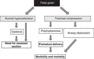 Consequences of goiter development in the fetus.