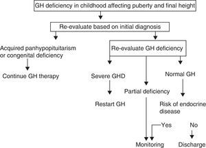 Proposal of the European Society for Pediatric Endocrinology for transition. GHD: GH deficiency. Modified from Clayton et al.8