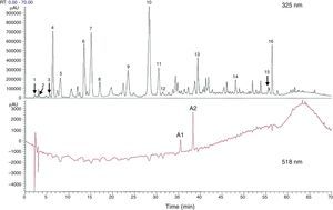 Total phenolic and flavonoid components estimated with high performance liquid chromatography (HPLC) from dry flower extract of Hibiscus sabdariffa. Total phenolic and flavonoid components were estimated as 58.8±1.34mg and 13.57±0.65mg/g of dry flowers respectively.63 1, hibiscus acid; 2, hibiscus acid ester 6-methyl; 3, gallic acid; 4, not identified; 5, 5 hydroxymethylfurfural; 6, protocatechuic acid; 7, 5-caffeoylquinic acid; 8, feruloyl derivative; 9, chlorogenic acid; 10, 4-caffeoylquinic acid; 11, caffeic acid; 12, galloyl ester; 13, feruloylquinic derivative; 14, kaempferol-3-glucoside; 15, quercetin derivative; 16, tiliroside; Al, delphinidin-3-sambubioside; A2, cyanidin-3-sambubioside.
