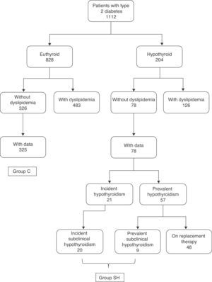 Flow chart showing the origin of the sample of euthyroid diabetic patients who acted as controls (group C), and diabetic patients with incident or prevalent, untreated hypothyroidism (group SH).