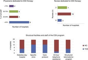 Human resources (number of physicians and education nurses) and organizational aspects related to continuous subcutaneous insulin infusion (CSII) therapy programs at hospitals of the public healthcare network of the Autonomous Community of Madrid.