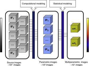 Relevant information extraction process using parametric images. The box on the left represents the number of MR images providing morphological and functional information. The central box represents the parametric images obtained after applying computational models to the source images. Each of these images represents the value of a specific biomarker for each slice of a volumetric study. The box on the right side shows an example of multiparametric images obtained after applying a statistical modeling to the parametric images. This could be used to obtain one or several discriminant functions that indicate which biomarker, and in what proportion, are relevant to statistically characterize biological processes associated with a disease. The reduction in the number of images between boxes is evident. The reason for this is that the implementation of computational and statistical models reduces redundant information, highlighting only those biomarkers statistically associated with the disease.