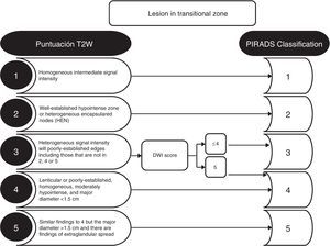 PIRADS v2 assessment criterion with morphological and signal patterns for the transitional area, T2 is the dominant sequence to determine the PIRADS category. A lesion scoring 3 in T2 and 5 in DWI increases the PIRADS category to 4.