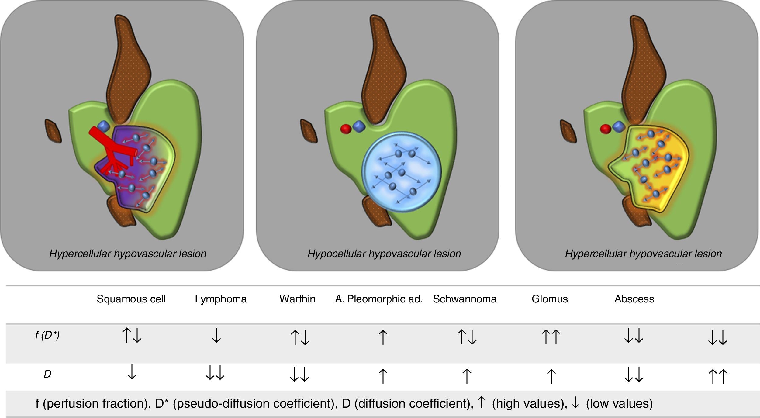 Advanced resonance imaging techniques for tumors of the head