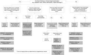 Action algorithm proposed by RAD-AID. It details the steps to be followed in the management of breast screening patients according to clinical and ultrasound findings, and applying the BI-RADS classification.
