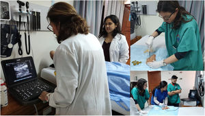 Our breast radiologists managed the studies and clinical training of the CerviCusco staff in both teams, as well as seminars that included basic training in ultrasound-guided biopsy using chicken breasts with olives inside.
