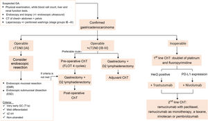 The algorithm used at our centre for managing GA according to the clinical stage assigned. It is based on the latest clinical practice guidelines for gastric cancer published by the European Society for Medical Oncology (ESMO) and the National Comprehensive Cancer Network (NCCN). D2 lymphadenectomy: resection of perigastric lymph nodes and those adjacent to the left gastric, common hepatic, splenic and coeliac arteries. Source: Lordick et al.3 and Ajani et al.48.