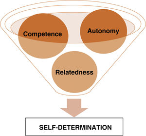 Self-determination theory according to Edward L. Deci and Richard Ryan. Competence: the experience of mastery and being efficient in one