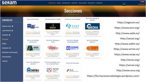 Screenshot of the Spanish Society of Clinical Radiology (SERAM) website in the section ‘Sections’ (https://seram.es/secciones-seram/). Of the 11 SERAM sections, FORA is the only one that does not have a website. The rest have websites which are kept reasonably up-to-date, except for the Spanish Society of Cardiothoracic Imaging (SEICAT) [consulted 1 July 2023].