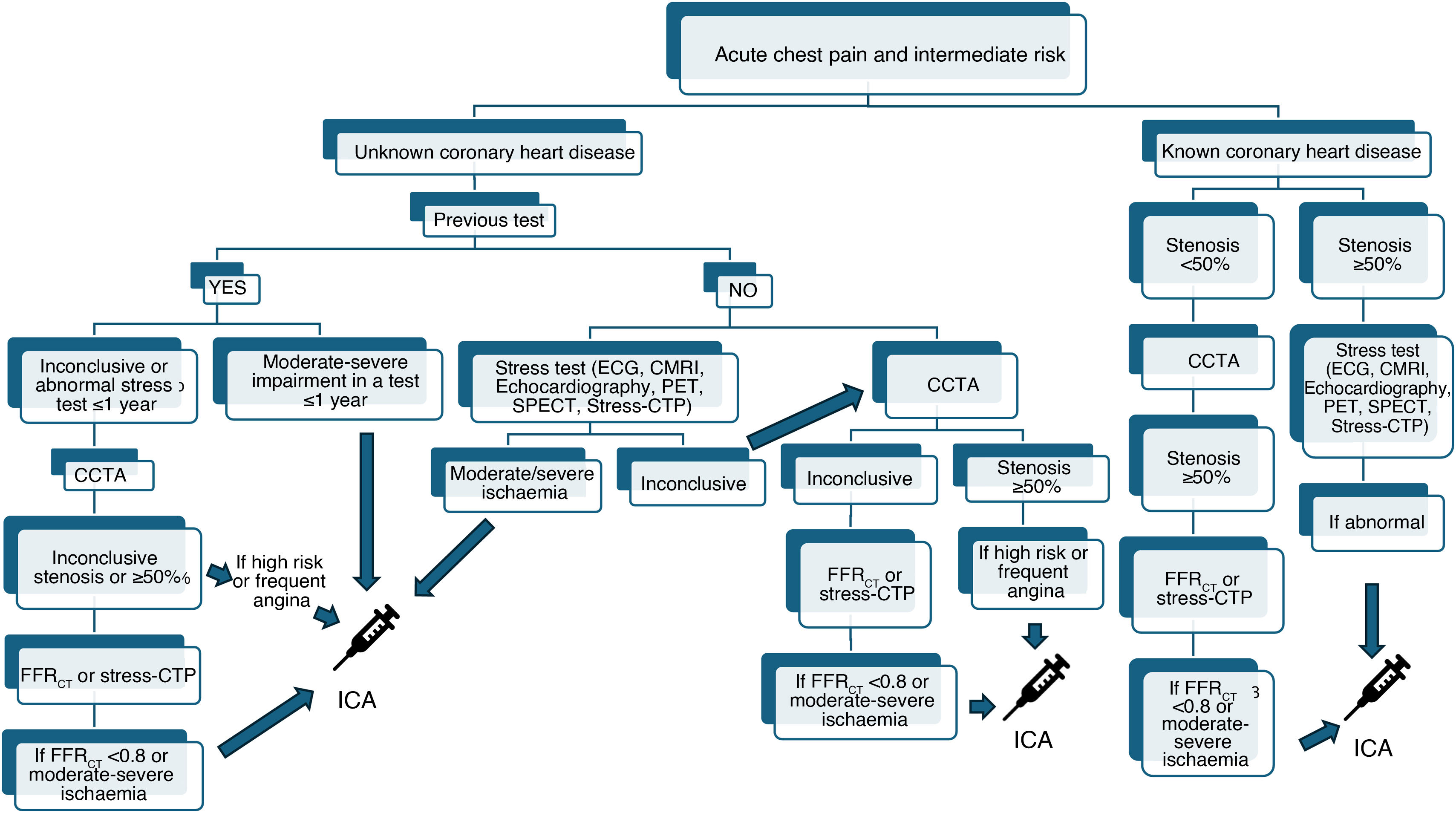 Thoracic pain: From guidelines to clinical practice | Radiología ...