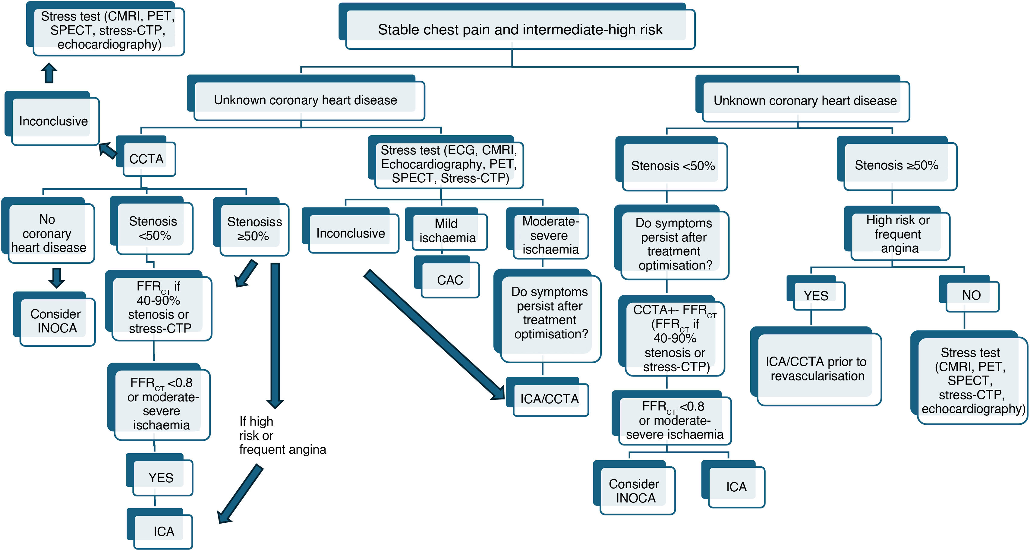 Thoracic pain: From guidelines to clinical practice | Radiología ...