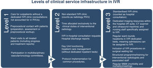 Incremental levels of clinical infrastructure. Access to each level may be independent, although the levels reflect an incremental progression in care quality. Uncounted consultation: consultation excluded from the RVU calculation for the interventional vascular radiology (IVR) unit. Non-standard consultation: a consultation that does not meet the infrastructure, operational or legal standards of those conducted in the hospital’s outpatient department. RVU (relative value unit): artificial standardised unit of measure used to quantify the complexity and cost of a radiological procedure against a benchmark procedure.