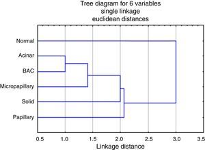 Dendrogram for the hierarchical clustering analysis of transcripts according to their expression values, using Single linkage algorithm, Euclidean distances, targeting the various patterns and normal tissue.