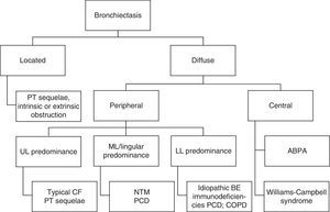 Radiological characteristics and aetiology. UL, upper lobe; ML, middle lobe; LL, lower lobe.