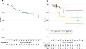 Kaplan–Meier curves for all-cause mortality. (A) Global cohort of patients with pulmonary arterial hypertension (PAH) (n=65). (B) PAH cohort stratified by the different etiologies of PAH. IPAH+HPAH: idiopathic and hereditable PAH; PAH-CTD: connective tissue disease-associated PAH; PAH-CHD: congenital heart disease-associated PAH and PoPH: portopulmonary hypertension.