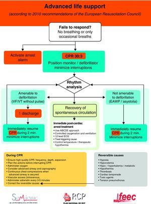 Algorithm of advanced life support in cardiac arrest.