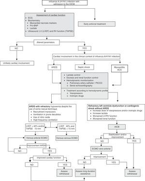 Algorithm for the diagnosis and treatment of cardiovascular complications in patients with influenza A/H1N1 infection. IACB: intraaortic counterpulsation balloon; ECG: electrocardiogram; ECMO: extracorporeal membrane oxygenation; LVEF: left ventricle ejection fraction; Pro-BNP: type B natriuretic peptide; ACS: acute coronary syndrome; ARDS: acute respiratory distress syndrome; DICM: Department of Intensive Care Medicine; TAPSE: tricuspid annular plane systolic excursion; RV: right ventricle; LV: left ventricle.