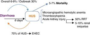 Enterohaemorragic E. coli infection and haemolytic–uraemic syndrome. HUS occurs at the 6th day after diarrhoea in EHEC enteritis; with an overall incidence of 6–9% and in STEC-O104:H4's outbreak of 30%. On the other hand, 70% of HUS cases occur in the context of EHEC enteritis. HUS triad comprises microangiopathic haemolytic anaemia, thrombocytopenia and AKI. Patients who develop AKI, 50% will require RRT and 5–10% will remain with renal sequelae. 5–7% of patients with HUS do not survive. EHEC: enterohaemorragic E. coli; HUS: haemolytic–uraemic syndrome; RRT: renal replacement therapies; STEC: Shiga-like toxin producing E. coli; AKI: acute kidney injury.