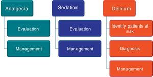 Domains of the bundle for the management of analgesia, sedation and delirium.
