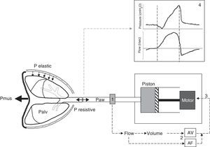 Schematic representation of the PAV system. The PAV mode affords assistance proportional to effort through the continuous measurement of the flow and volume (1) leaving the ventilator toward the patient, conditioned to the muscle pressure (Pmus) generated by the patient and which leads to a decrease in alveolar pressure (Palv). The flow and volume are amplified (AF and AV) by adjustable gain controls (2), and the sum of both signals conforms the input control signal (3) that generates the pressure response of the ventilator motor. The latter drives the piston, causing the ventilator to respond with rapid flow delivery to the patient in proportion to his or her Palv, overcoming the elastic and resistive pressure. The pressure-time and flow-time curves resulting from the mechanical cycle (4) show that the pressurization pattern is gradual, reaching the maximum value at the end of inspiration, and exhibiting proportionality at all times. Note that expiratory cycling coincides with the drop in inspiratory pressure, i.e., the cessation of inspiratory effort (second broken line), and the more physiological sinusoidal morphology of flow of the inspiratory phase.