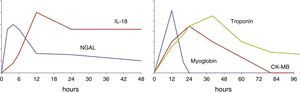 Schematic representation of the time course of two biomarkers of acute kidney injury (NGAL and IL-18) in comparison with the changes over time of known markers of myocardial damage.
