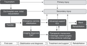 Conceptual setting for the epidemiological study of trauma.