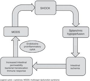 Schematic representation of the relationship between shock and splanchnic hypoperfusion. cytok: cytokines; MODS: multiorgan dysfunction syndrome.