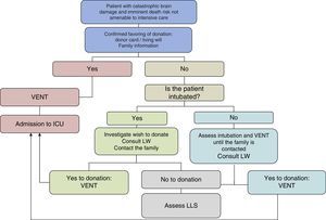 Clinical decision making. LLS, limitation of life support; LW, living will; ICU, Intensive Care Unit; VENT, elective – non-therapeutic ventilation.