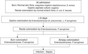 The chronology of bacterial colonization/infection in critically burn patients.