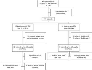 Flowchart. The figure shows the flowchart of the patients included in the study.