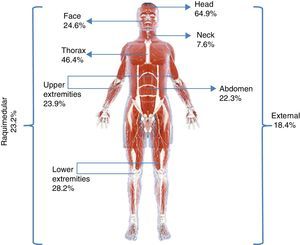 Percentage of injuries coded according to the different areas contemplated by the Abbreviated Injury Scale.