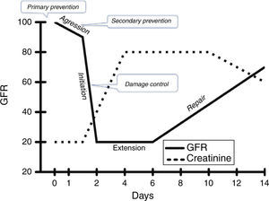 Theoretical relationship between glomerular filtration rate (GFR) and serum creatinine (SCr) in time, with emphasis in the possible impact of timely interventions on the course of kidney injury.34