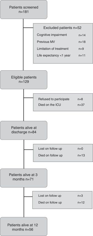 Flowchart. Flowchart of enrolled patients with more than 24h of MV and follow-up at 3 and 12 months after discharging from the ICU. MV: Mechanical ventilation.