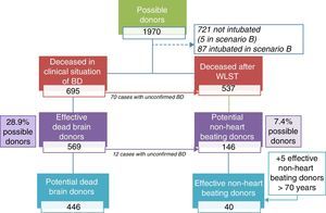 Graphic representation of the transition from possible donors to potential and effective donors, under conditions of brain death and controlled asystole. Possible donor: death secondary to devastating brain injury. Potential brain dead donor: death in clinical situation consistent with BD and without absolute or relative medical contraindications to organ donation. Potential non-heart beating donor: death following WLST, without absolute or relative medical contraindications to organ donation, and aged under 70 years. Effective donor: death with surgical incision made for organ harvesting for transplantation. Scenario B: includes possible donors actively treated in an Intensive Care Unit until unexpected cardiac arrest occurs from which the patient cannot be recovered. WLST: withdrawal of life-sustaining treatment; BD: brain death.