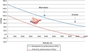 Correlation among altitude, atmospheric oxygen partial pressure (PO2), and arterial partial oxygen pressure (PaO2). PaO2: theoretical arterial oxygen partial pressure in exposure to acute hypoxia (without acclimatization).