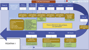 Treatment chronogram in critical burn patients. ECG: electrocardiogram; FBC fibrobronchoscopy; LMWH: low molecular weight heparin; NAD: noradrenalin; BBS: burnt body surface.