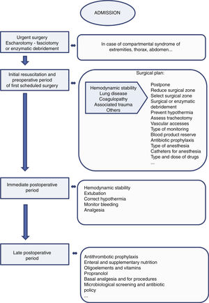 Surgical plan and postoperative period. Continued care in the critical burn patient and aspects to be considered during the different periods.