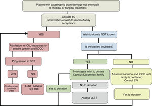 Intensive care to facilitate organ donation process. ICOD: intensive care to facilitate organ donation; TC: transplantation coordinator; CNHBD: controlled non-heart beating donation; LLST: limitation of life support techniques; BD: brain death; LW: living will; ICU: Intensive Care Unit.