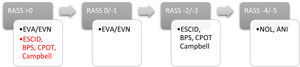 Monitorization of pain based on the RASS scale. ANI®, analgesia nociception index; AVS, analog visual scale; BPS, behavioral pain scale; CPOT, critical care pain observation tool; NOL®, nociception level; NVS, numerical visual scale; RASS, Richmond agitation sedation scale.
