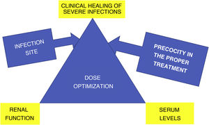 Variables involved in the clinical healing of severe infections due to multi-resistant gram-negative bacilli.