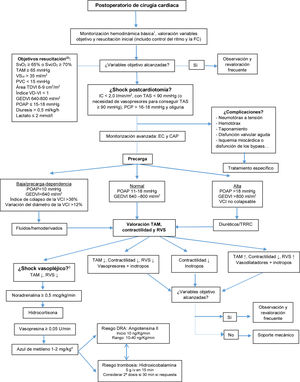 Monitoring and approach algorithm. aBasic hemodynamic monitoring: invasive arterial pressure, continuous electrocardiogram, temperature, water balance, mixed or central venous saturation, laboratory testing, blood gases and central venous pressure. bAdapted from Habicher et al.16 cAdapted from Busse et al.8 dMethylene blue is not recommended in patients with 6-glycophosphate dehydrogenase deficit, selective serotonin reuptake inhibitors (SSRIs), selective noradrenaline-serotonin reuptake inhibitors, monoamine oxidase inhibitors (MAOIs). PAC: pulmonary artery catheter; AKI: acute kidney injury; EC: echocardiography; HR: heart rate; GLVEDV: global left ventricular end-diastolic volume; CI: cardiac index; PCP: pulmonary capillary wedge pressure; PAOP: pulmonary artery occlusion pressure; CVP: central venous pressure; SVR: systemic vascular resistances; SvcO2: central venous oxygen saturation; SvO2: mixed venous oxygen saturation; MAP: mean arterial pressure; SBP: systolic blood pressure; LVED: left ventricle end-diastolic; CRRT: continuous renal replacement therapy; IVC: inferior vena cava; RV: right ventricle; LV: left ventricle; SVLV: left ventricular systolic volume.