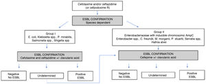 ESBL confirmation algorithm in Enterobacteriaceae according to EUCAST.