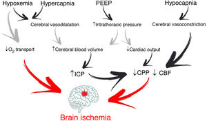 Possible deleterious effects of mechanical ventilation upon intracranial physiology.