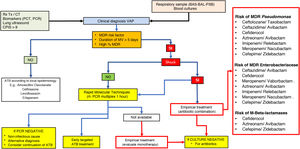 Diagnostic algorithm and positioning of new antimicrobials for the treatment of ventilator-associated pneumonia (VAP). ATB: antibiotic; BAL: bronchoalveolar lavage; BAS: bronchial aspirate; CPIS: clinical pulmonary infection rating scale; MDR: multidrug-resistant microorganisms; PCT: procalcitonin; CRP: C-reactive protein; PSB: protected brush; rt-PCR: polymerase chain reaction; CXR: chest X-ray; SIRS: systemic inflammatory response syndrome; CT: computed axial tomography.