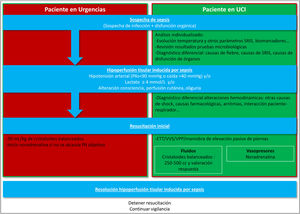 Activación protocolo y resucitación inicial. ETT: ecocardiografía transtorácica; PAS: presión arterial sistólica; SRIS: síndrome de respuesta inflamatoria sistémica; VPP: variación presión de pulso; VVS: variación de volumen sistólico.