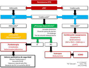 Reanimación shock refractario. EVLW: agua extravascular pulmonar (extravascular lung water); GC: gasto cardíaco; HTIS: hipoperfusión tisular inducida por sepsis; IC: índice cardíaco; PA: presión arterial; PVC: presión venosa central; RVS: resistencias vasculares sistémicas; SvcO2: saturación venosa central de O2; TV: tidal volume; ?ΔCO2: diferencia veno-arterial de CO2.