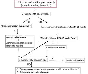 Algoritmo de selección de fármacos vasoactivos en el tratamiento del shock séptico PAM: Presión arterial media. * Además de alcanzar una PAM objetivo ≥ 65 mmHg podemos considerar otros parámetros como la normalización de las cifras de lactato (y descartar «shock oculto»), la presencia de un adecuado ritmo de diuresis (0,5 mL/kg/h) para considerar que la estabilidad hemodinámica alcanzada es «real» y se traduce en una mejoría clínica del paciente.