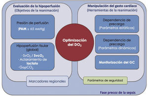 Objetivos e instrumentos de la monitorización hemodinámica de la sepsis. De los diferentes parámetros que se va a monitorizar, es fundamental conocer y entender la naturaleza y la utilidad de cada uno de ellos. Así, hay: a) variables que proporcionan información sobre el estado de perfusión de los tejidos y, por tanto, potenciales “objetivos” del proceso de la reanimación, y b) variables instrumentales que proporcionan información sobre el estado de la funcionalidad cardiovascular en que se encuentra el paciente, en una aproximación de Frank-Starling, y son de utilidad en la toma de decisiones para la manipulación del gasto cardiaco. DO2: transporte global de oxígeno; GapCO2: diferencia arteriovenosa central de dióxido de carbono; GC: gasto cardiaco; PAM: presión arterial media; SvcO2: saturación venosa central de oxígeno; SvO2: saturación venosa mixta de oxígeno.