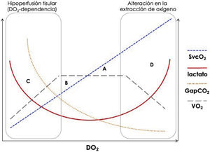 Marcadores metabólicos y VO2/DO2. Se representa la relación entre VO2, DO2 y los principales marcadores generales de perfusión disponibles a pie de cama. Clásicamente, según los valores de SvcO2 y lactato, se definen 4 situaciones principales: a) transporte de oxígeno adecuado para las necesidades metabólicas (lactato y SvcO2 en valores normales); b) déficit de oxígeno (lactato normal, con incremento de la extracción de oxígeno, que produce valores bajos de SvcO2); c) deuda de oxígeno (elevación del lactato con valores bajos de SvcO2), y d) alteración en la extracción de oxígeno (elevación de los valores de lactato y SvcO2)25. Los valores elevados de GapCO2 podrían ser de utilidad en esta última situación al desenmascarar que, a pesar de valores elevados de SvcO2, todavía puede coexistir un flujo sanguíneo bajo que cause el aumento de lactato18. DO2: transporte general de oxígeno; GapCO2: diferencia arteriovenosa central de dióxido de carbono; SvcO2: saturación venosa central de oxígeno; VO2: consumo general de oxígeno.